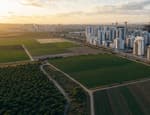 קרקע חקלאית להשקעה: למה המחיר נמוך כל כך, ומה חייבים לבדוק לפני שמעבירים שקל
